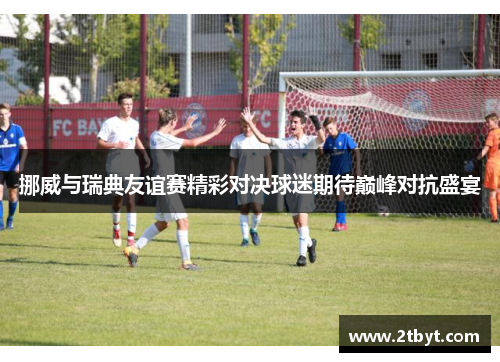 挪威与瑞典友谊赛精彩对决球迷期待巅峰对抗盛宴