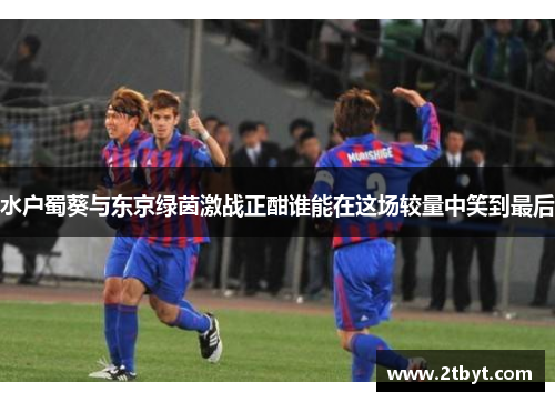 水户蜀葵与东京绿茵激战正酣谁能在这场较量中笑到最后